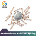 Customized Various Spring According to Your Requirement